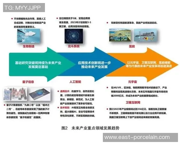 南京排球队总决赛精彩表现分析团队协作的重要性与未来展望