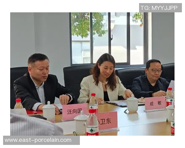 南京乒乓球队技术对比深度剖析及未来发展趋势探讨